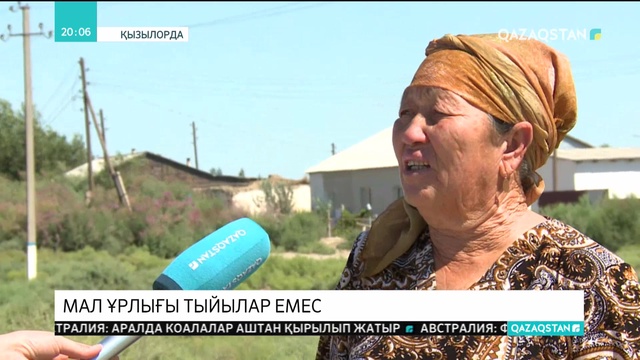 Қызылорда қаласындағы Досан ауылында мал ұрлығы тыйылар емес