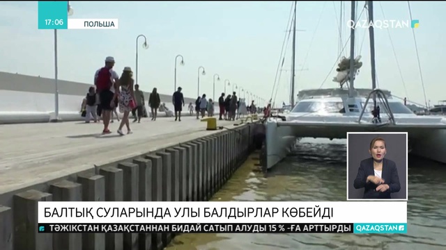 Балтық суларында улы балдырлар көбейді