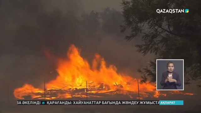 Түрік валютасы АҚШ долларының қасында рекордтық 5,5 пайызға құлдырады