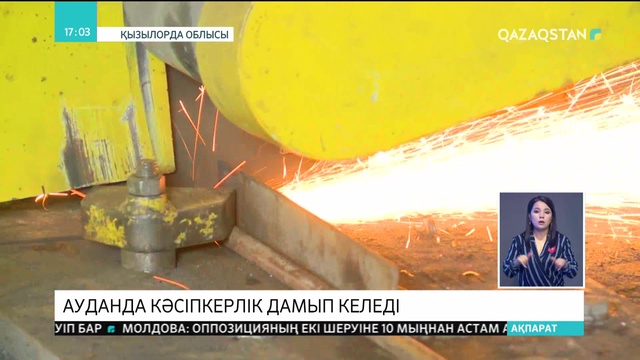 Қызылорда облысындағы Қазалы ауданында биыл құс фермасы салынады