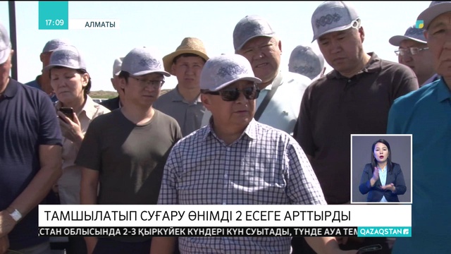 Күріш алқабын тамшылатып суғару өнімді 2 есеге арттырды