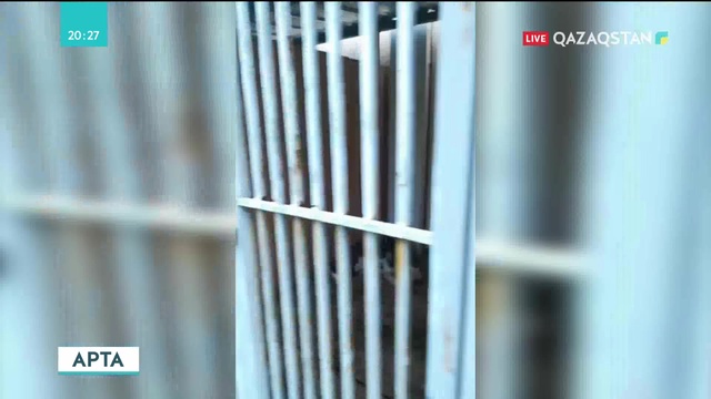 «Апта» бағдарламасында жаңа айдар: «Онлайндағы ойсалар»