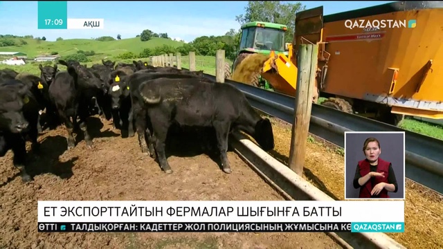 «Сауда қырқысынан» АҚШ-та сиыр етін экспорттайтын фермалар шығынға батты