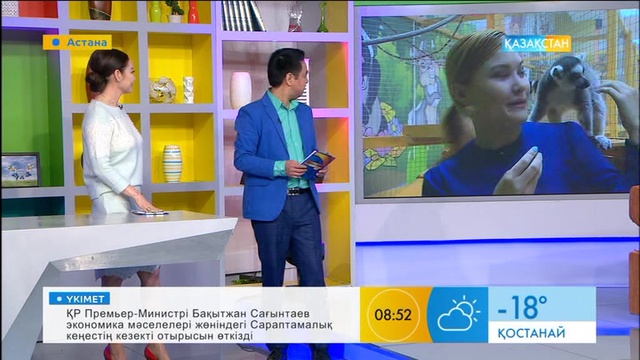 Анималотерапияның қандай пайдасы бар?