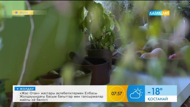 Пәтер ішіндегі орманды көргеніңіз бар ма?