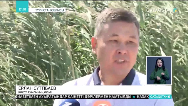 Шардара ауданында ағын судың жоқтығынан мақталық алқап мерзімінен бұрын қурап барады