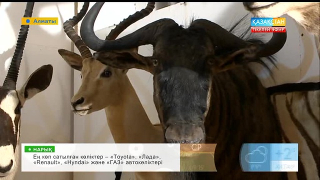 Жануарлардың тірі бейнесін айнытпай бейнелеу өнердің қай түріне жатады?