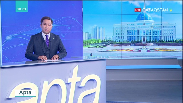 Елбасы Есеп комитетінің төрайымына мемлекет қаражатының қолды болуына жол бермеуді тапсырды