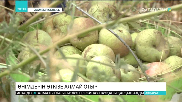 03.10.2018 - Ақпарат - 20:00 (Толық нұсқа)