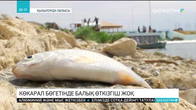 Қызылорда облысындағы Көкарал бөгетін шұғыл жөндеу қажет