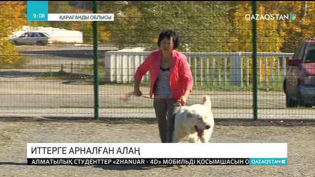Қарағандыда иттерге арналған серуендеу алаңдары ашылды