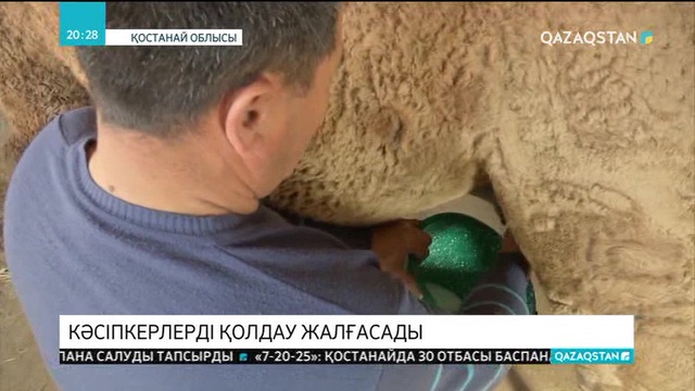 «Бизнестің жол картасы -2020» бағдарламасын Елбасы тағы 5 жылға ұзартуды тапсырды