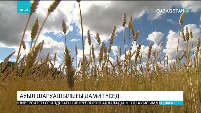 Ауыл шаруашылығы дами түседі