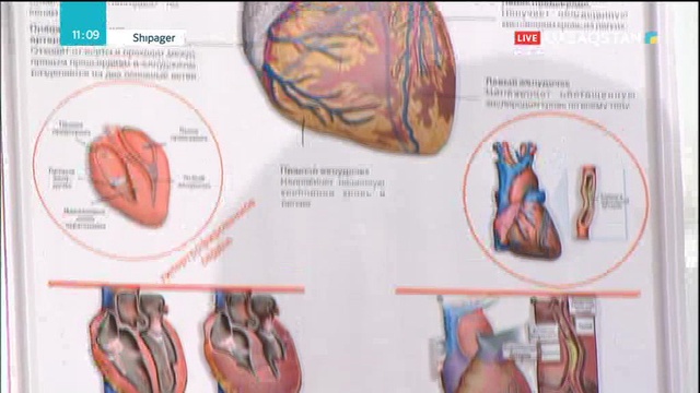 06.10.2018 - Shipager (Шипагер) - Артериялды қан қысымының жоғарылауы мен төмендеуі (Толық нұсқа)