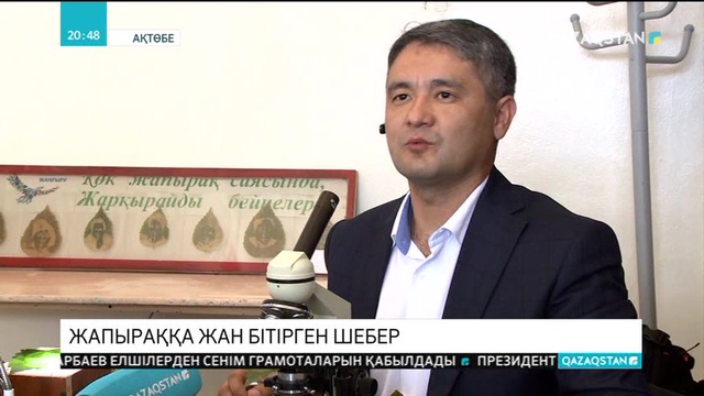 Жапыраққа «жан бітірген» шебер