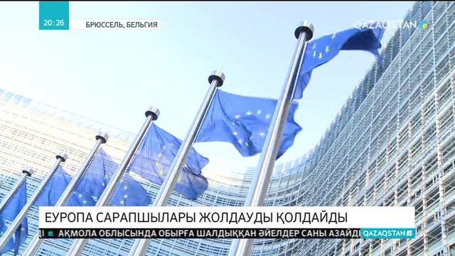 Еуропа сарапшылары Жолдауды қолдайды