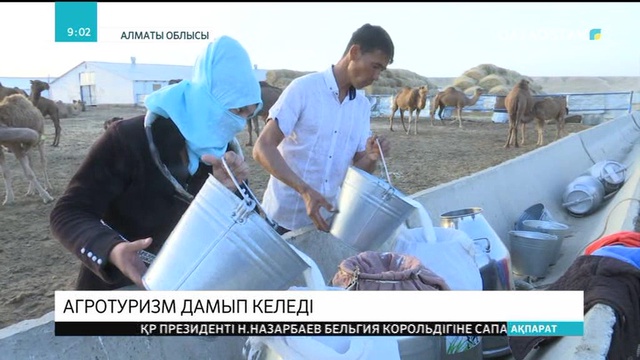 Алматы облысында агротуризм дамып келеді