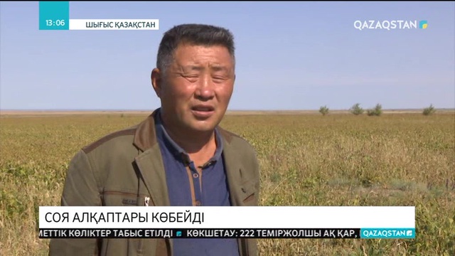 ШҚО-да соя алқаптары көбейді