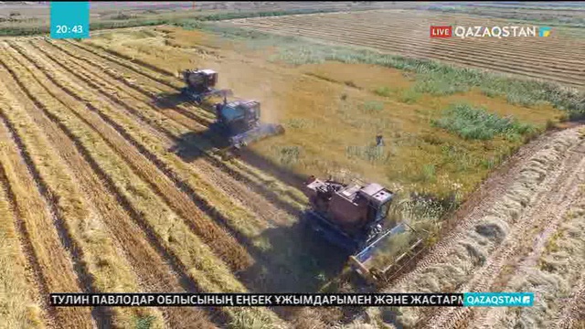 Сыр өңірінде «Алтын дән» күзгі жиын-терім мерекесі өтті