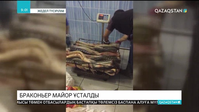 Маңғыстауда бұрынғы Ішкі істер қызметкері 318 келі қызыл балықпен қолға түсті