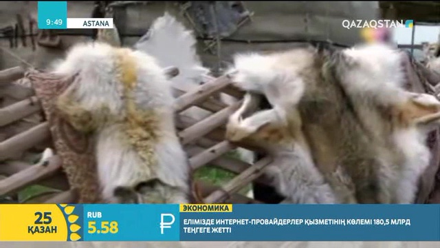 Былғарыдан кәдесый жасайтын шебер Мақсат Мағзұмов: Ұлттық өнерімізді жаңғыртатын жастардың көбейетініне сенімдімін