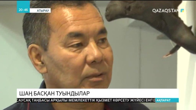 Атыраулық қолөнер шебері  өз үйін көркем туындылар көрмесіне айналдырды