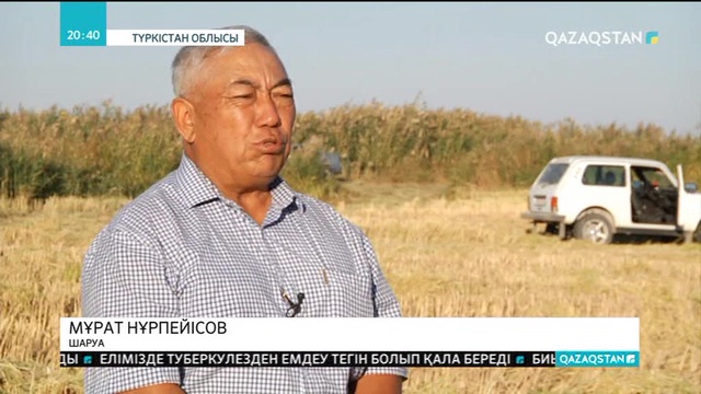 Түркістан облысының Шардара ауданында күріш жинау науқаны аяқталды