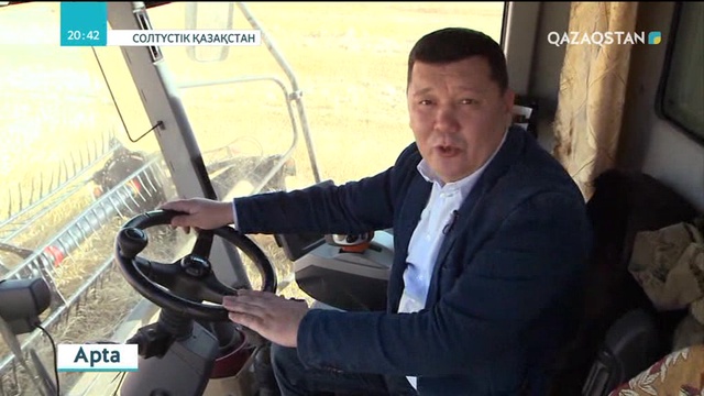 СҚО-да орылған астық көлемі артып келеді