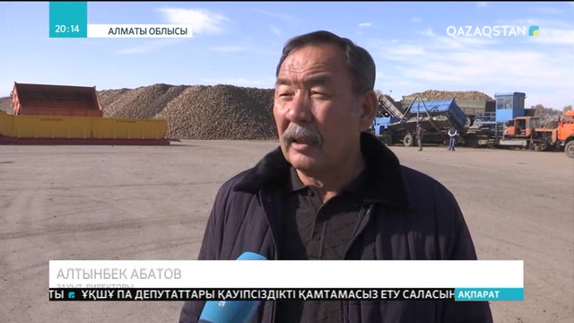 Алматы облысындағы Көксу қант зауытында тағы ұзын-сонар кезек