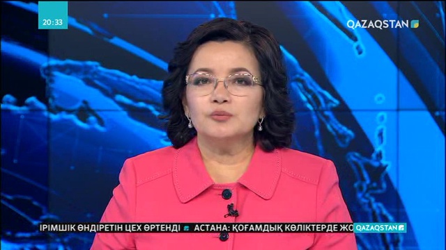 Елордада 15 мыңнан аса үлескердің мәселесі әлі күнге дейін шешімін таппай келеді