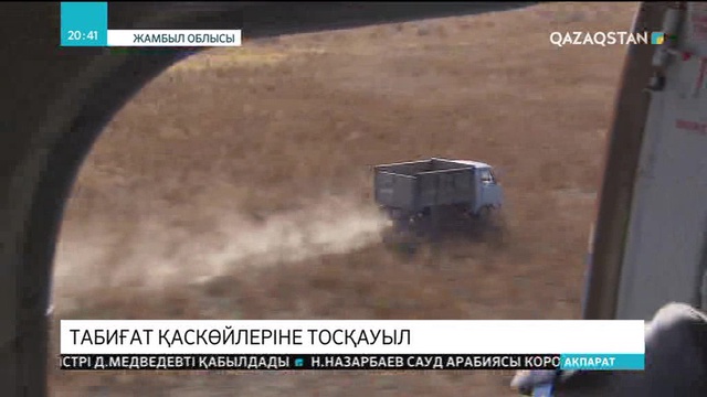 Жамбыл облысында заңсыз аң атқан бірнеше адам ұсталды