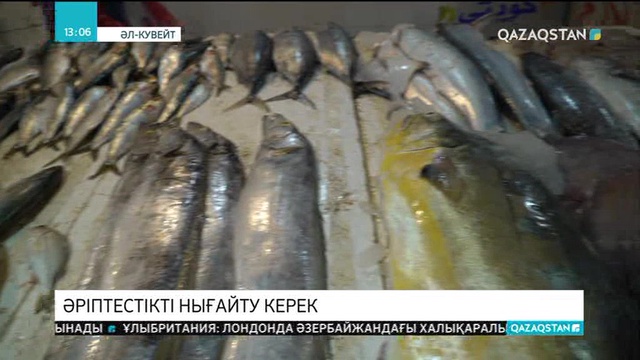 Қазақстан мен Кувейт арасында тікелей әуе рейсін ашу бойынша келіссөз жүруде