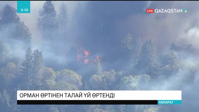 АҚШ-та орман өртінен бірнеше кеңсе мен аурухана жалын астында қалды