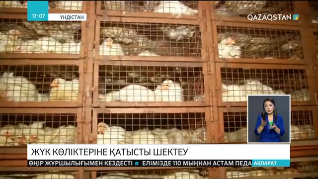 Үндістан астанасына жүк көліктерінің кіруіне тыйым салынды