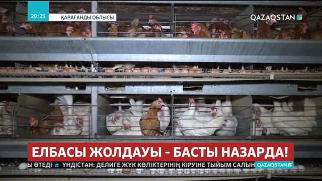 Қарағанды облысындағы шаруа қожалық иелері өнімдерін экспортқа жөнелтуде