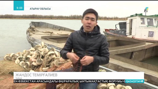 Атырауда заңсыз жолмен балық аулаушылар азаймай тұр