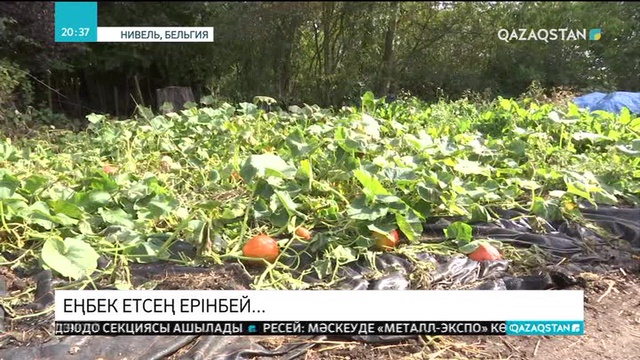 Еңбек етсең ерінбей...