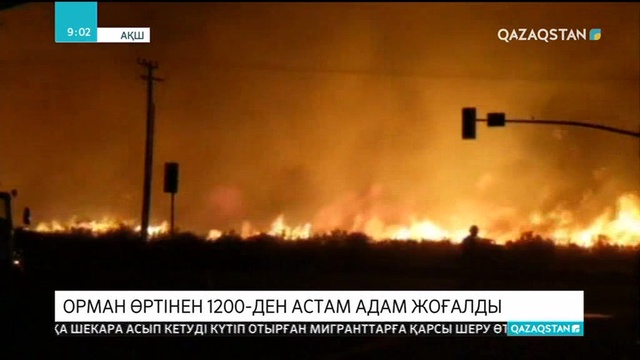 АҚШ-та орман өртінен 1200-ден астам адам жоғалды