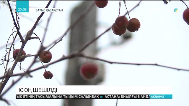 Кәсіпкер мәселесі шешілді