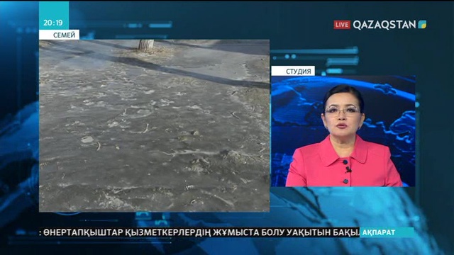 Семейде көктайғаққа байланысты оқушылар үшін сабақ доғарылды