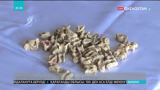 Тарихшылар Елбасының «Ұлы даланың жеті қыры» мақаласын талқылады