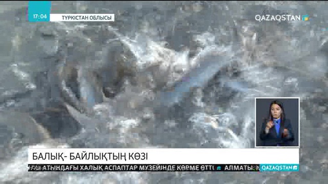 Балық шаруашылығы қарқынды дамып келеді