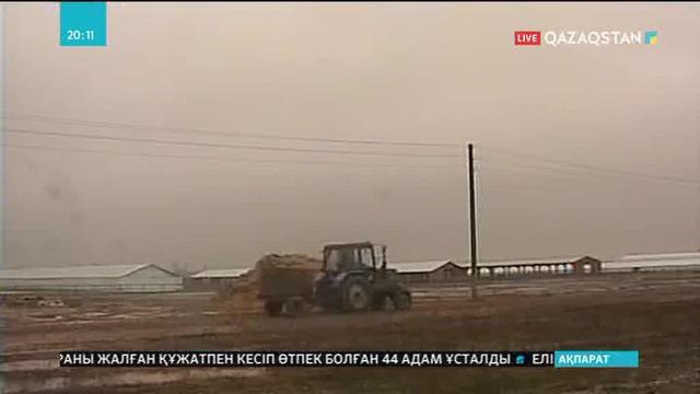 БҚО-да жабылып қалған мал бордақылау кешені қайта жұмыс істейді