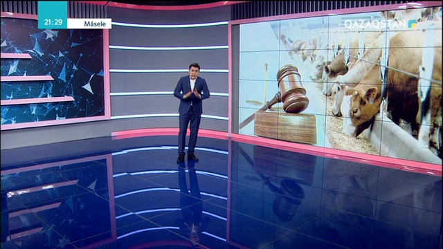 «Мәселе шешкен мәселе». Мал ұрлығы өршіген