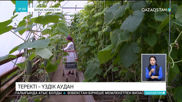 Теректі – үздік аудан