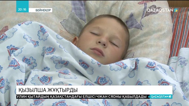 Қызылша ауруы өршіп тұр
