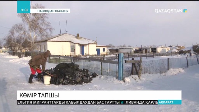 Көмір болмаған соң, тұрғындар тоғайды отап жатыр