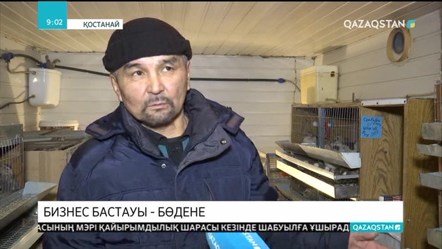 Қостанайлық кәсіпкер бөдене өсірумен айналысады