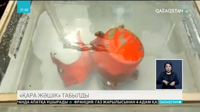 Индонезияда күзде құлаған жолаушылар ұшағының «қара жәшігі» табылды