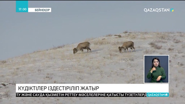 Бас прокуратура инспекторды өлтірген браконьерлердің міндетті түрде жазаланатынын айтты